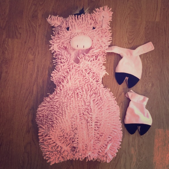 Other - Pig costume